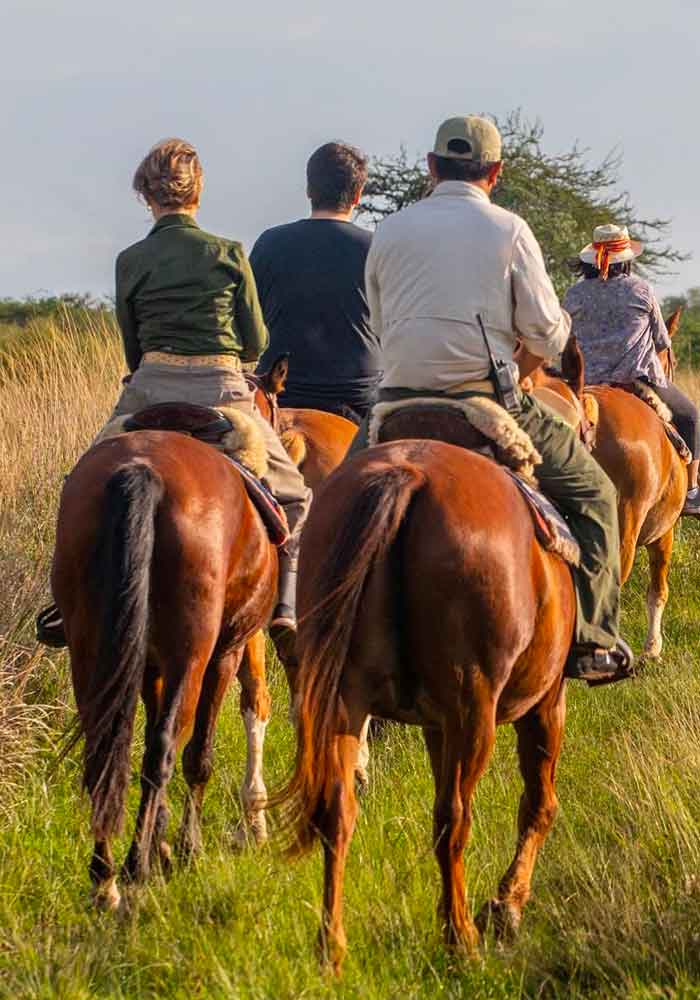 horse riding - New Scientist Kristine Tompkins