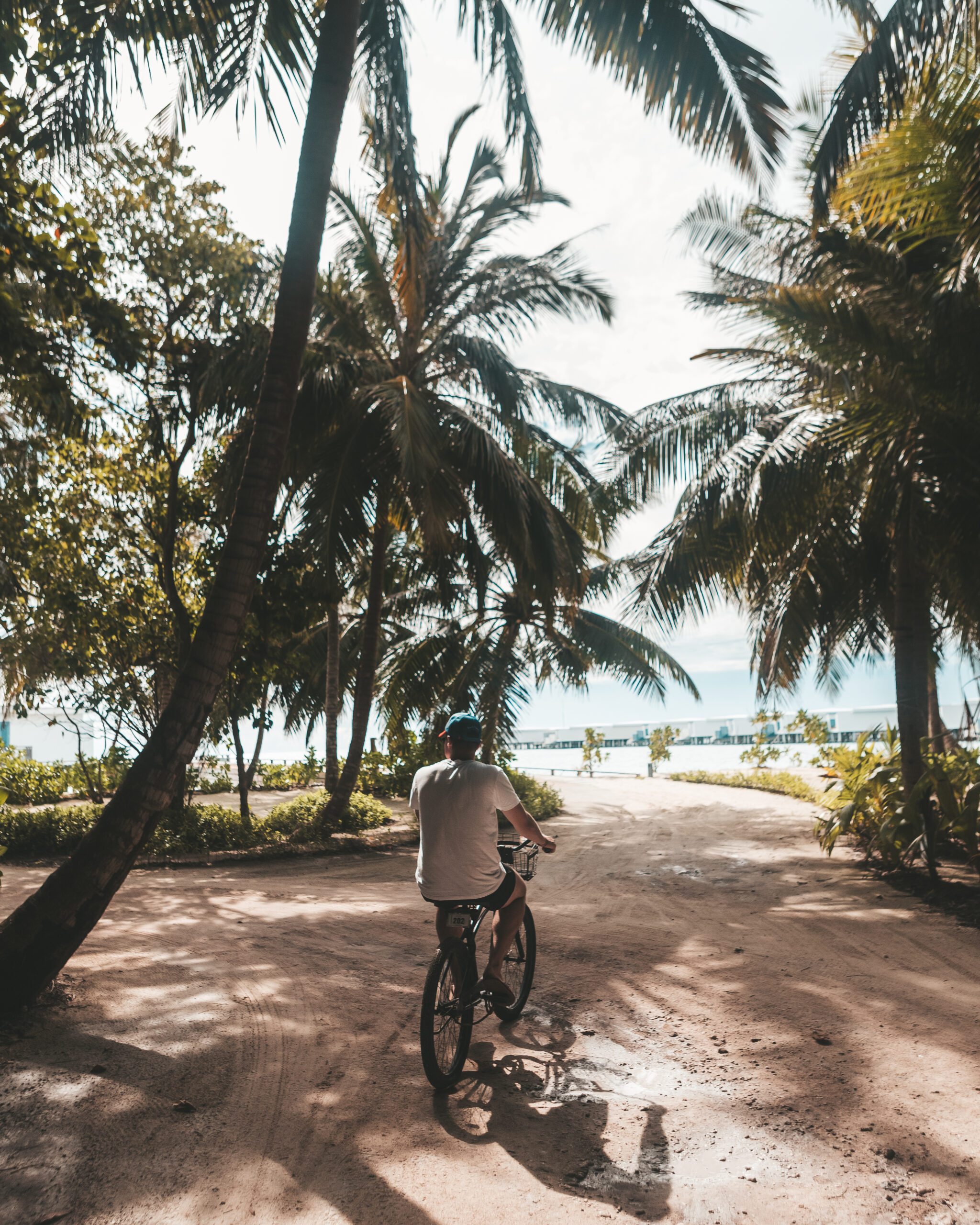 Amilla Maldives Bike Tour 4 scaled - AMILLA FUSHI
