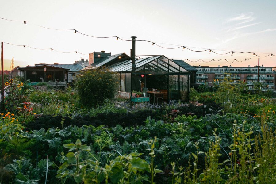 Entrance of Gro Spiseri restaurant in Copenhagen, Denmark, surrounded by its iconic rooftop garden.