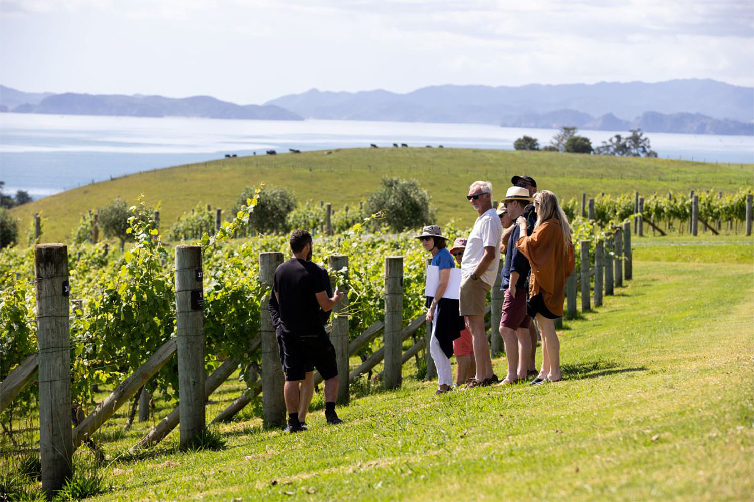 New_Zealand_Satopia_Travel_Experience