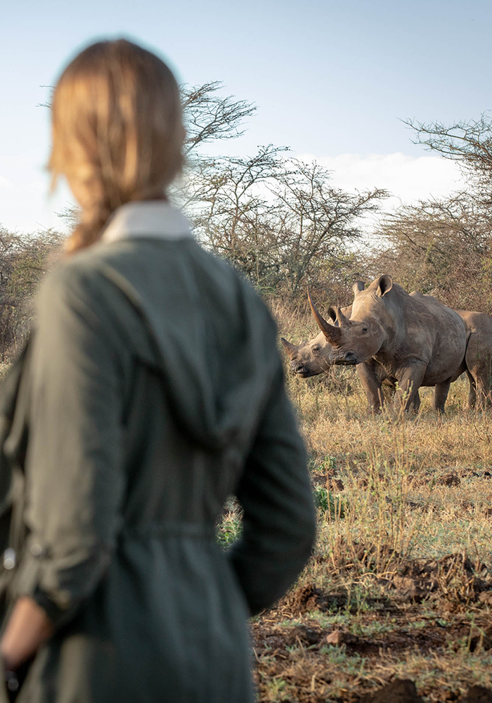 Kenya_Safari_Satopia_Travel_Ol_Jogi