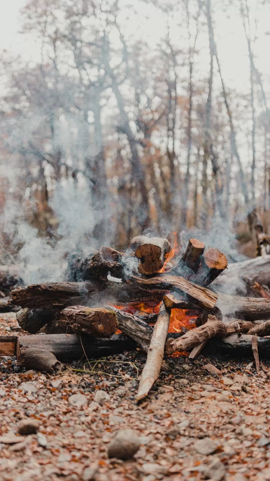 Francis Mallmann Argentina