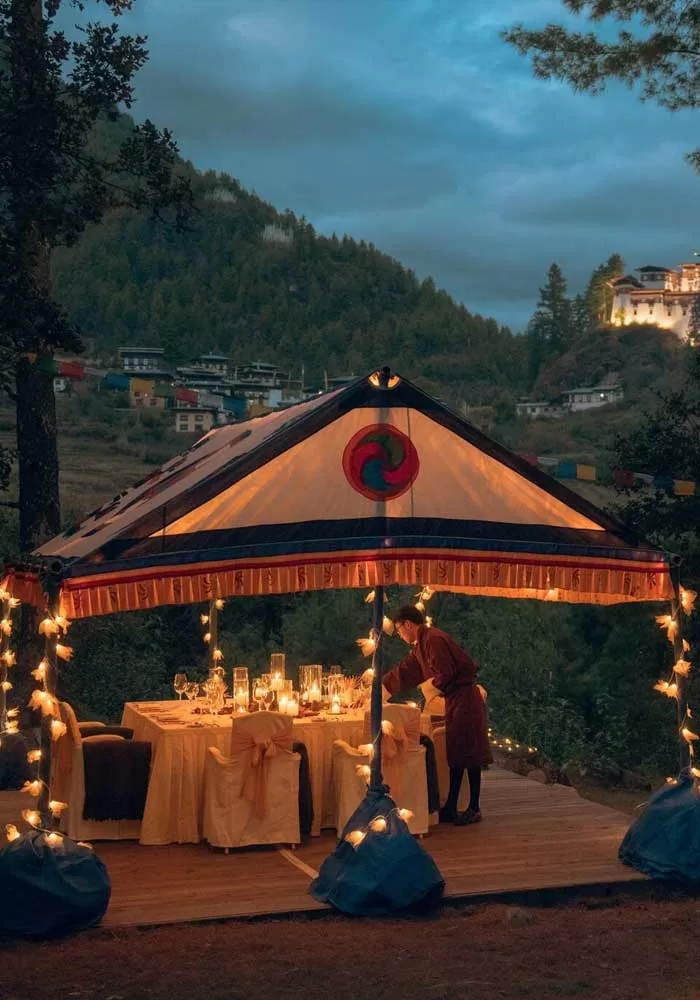 A Feast Beneath the Himalayan Pines
